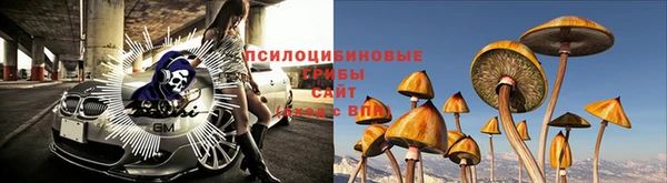 винт Балахна