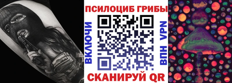 Галлюциногенные грибы Cubensis  купить наркоту  MEGA ТОР  Купино 