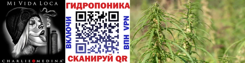 Конопля SATIVA & INDICA  omg   Купино 